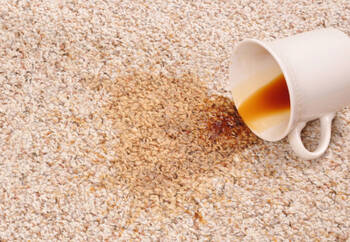 Carpet stain removal by Quality Swan Cleaning Services
